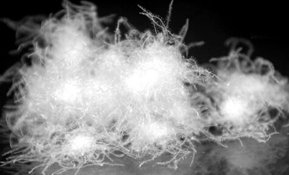 冬季羽絨服 冬季羽絨服